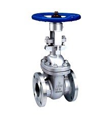 Capsule Pressure Gauge in SS - 63MM TO 160MM
