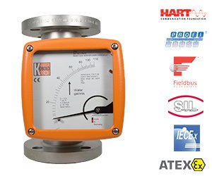 BGN Heavy-Duty Industrial All-Metal Variable Area Flow Meter